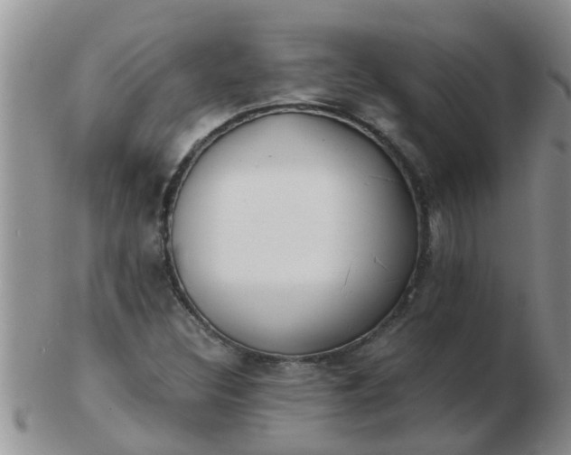 X0000103311308200809122043