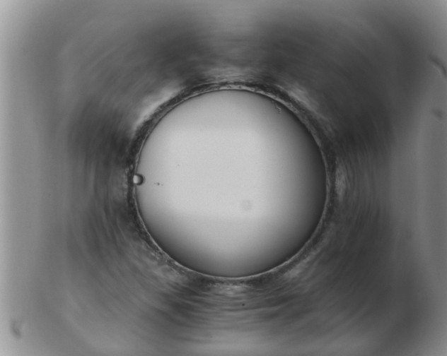 X0000103311309200809122043