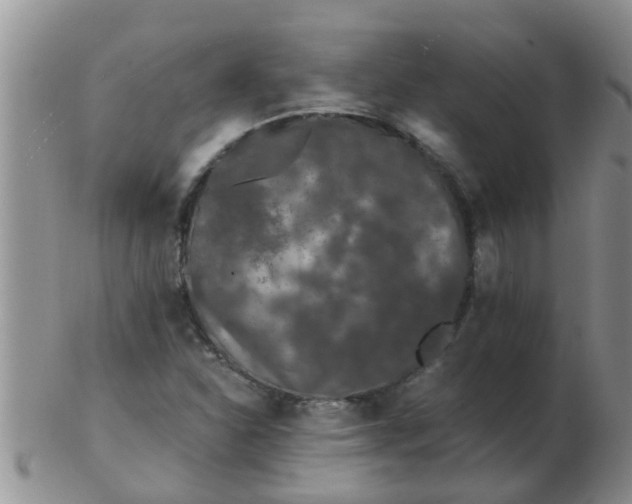 X0000103311310200809122043
