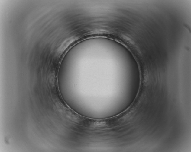 X0000103311313200809122043