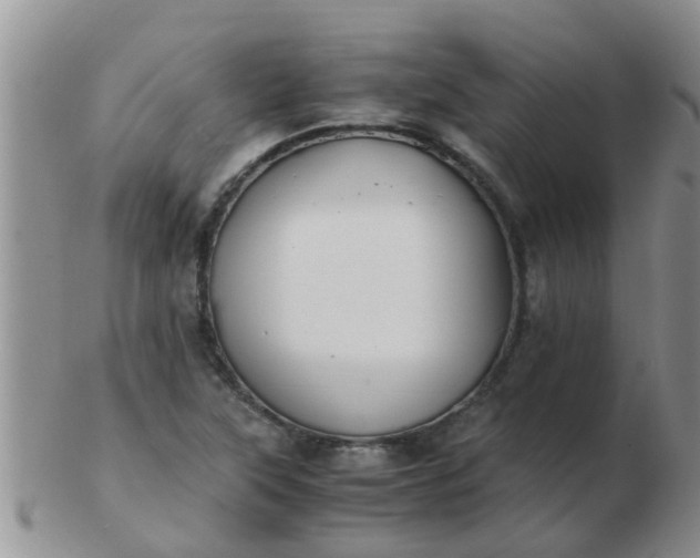 X0000103311315200809122043