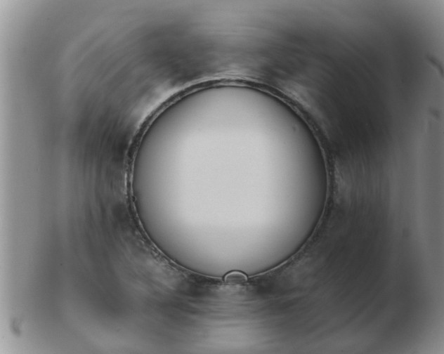 X0000103311316200809122043