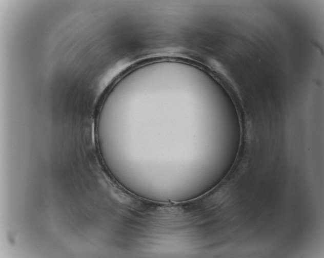 X0000103311320200809122043