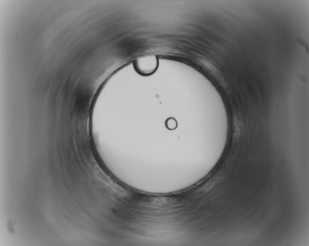 X0000103311322200809122043