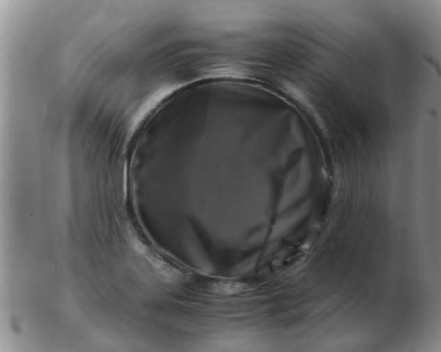 X0000103311323200809122043
