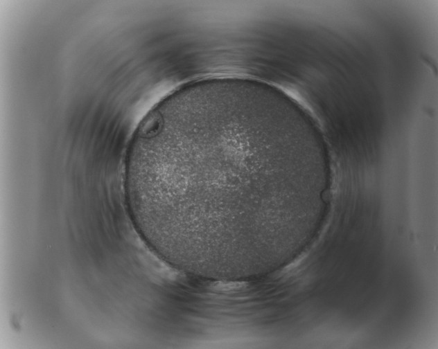 X0000103311325200809122043