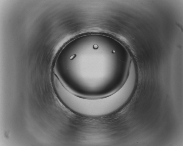 X0000103311326200809122043