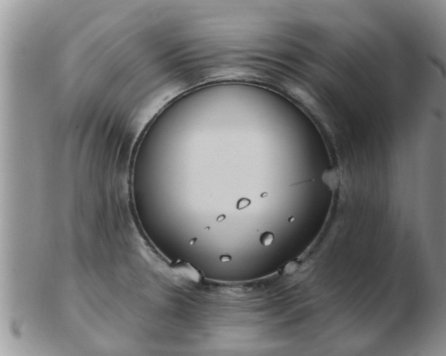 X0000103311330200809122043