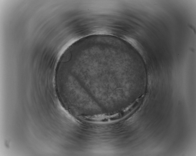X0000103311331200809122043