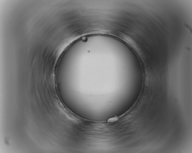 X0000103311332200809122043