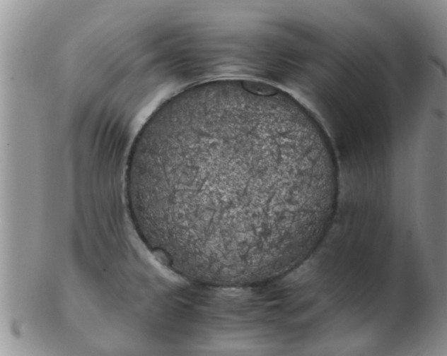 X0000103311333200809122043