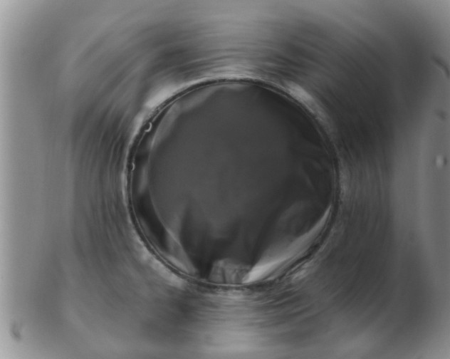 X0000103311334200809122043