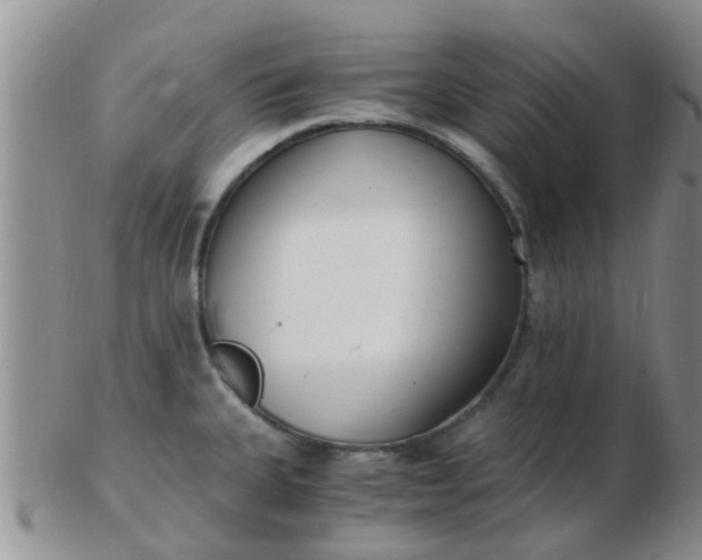 X0000103311335200809122043