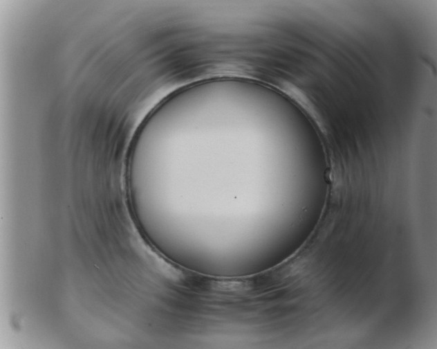 X0000103311339200809122043