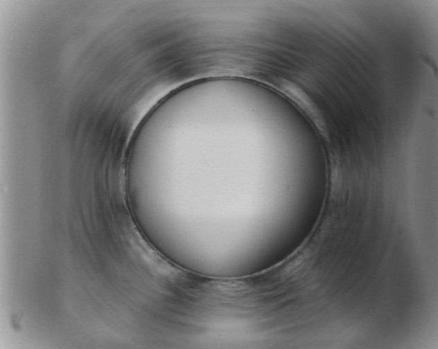 X0000103311340200809122043