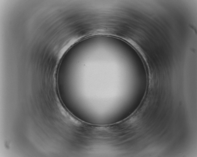 X0000103311341200809122043