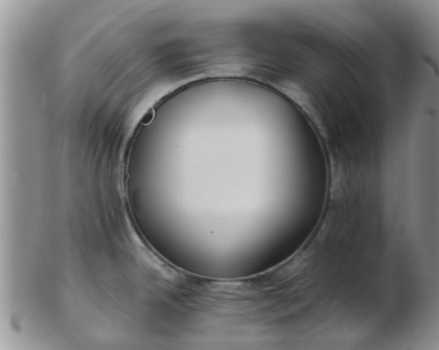 X0000103311342200809122043