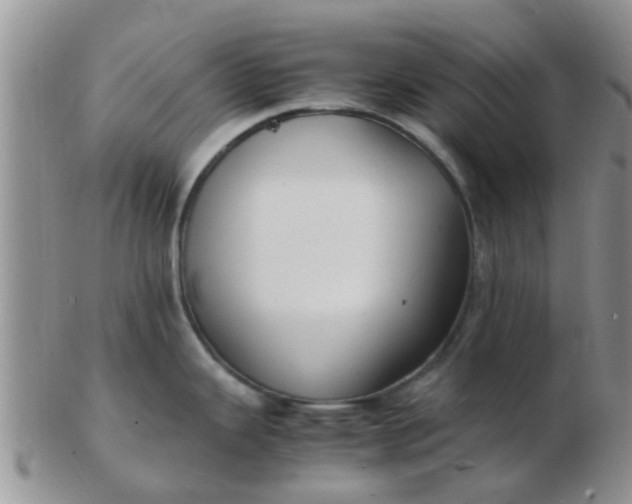 X0000103311343200809122043