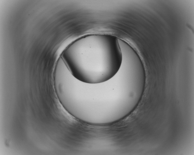 X0000103311344200809122043