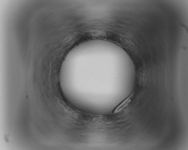 X0000103311345200809122043