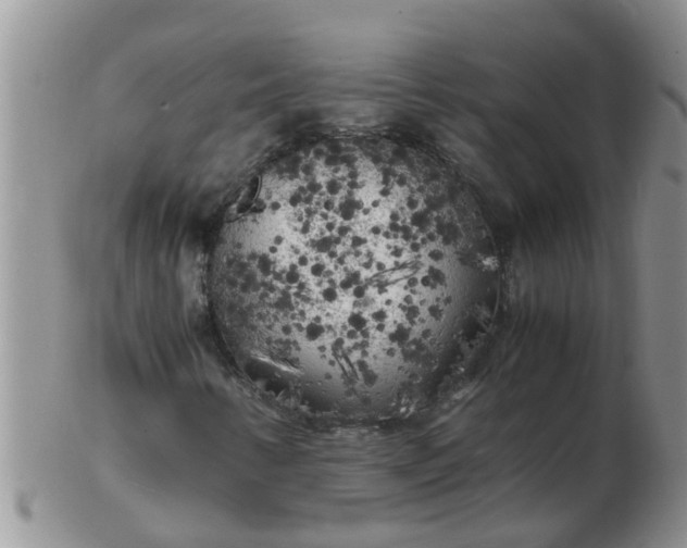 X0000103311346200809122043