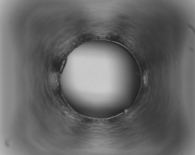 X0000103311347200809122043