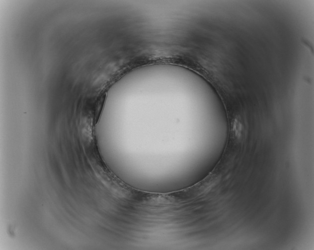 X0000103311348200809122043