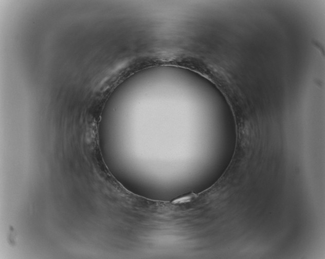 X0000103311349200809122042