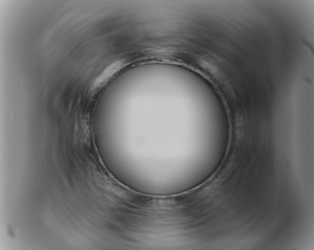 X0000103311354200809122042