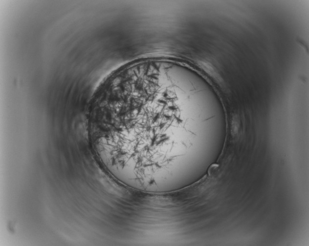 X0000103311356200809122042