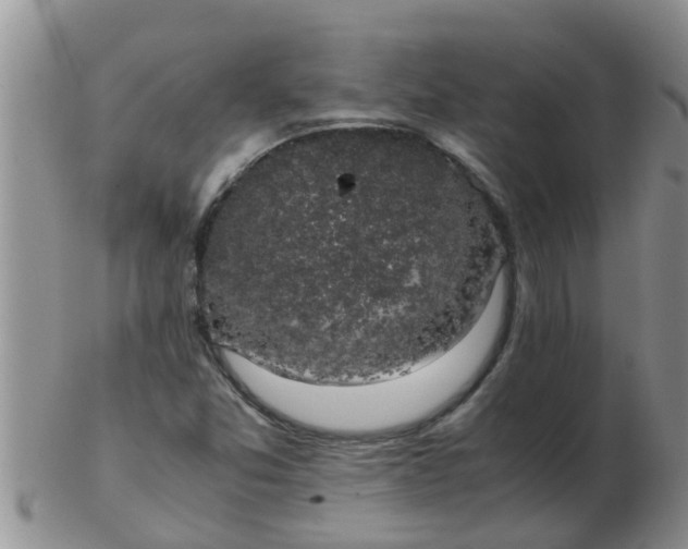 X0000103311357200809122042