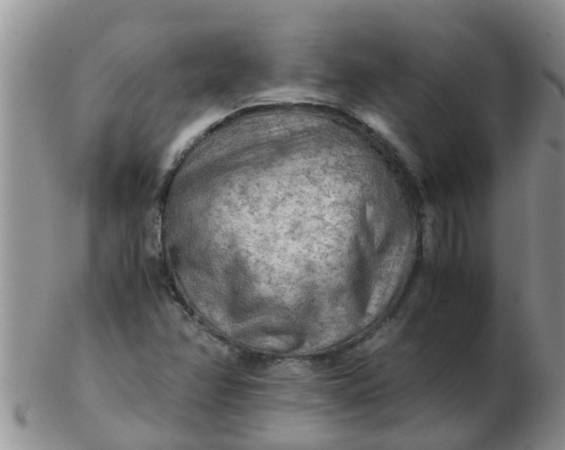 X0000103311358200809122042