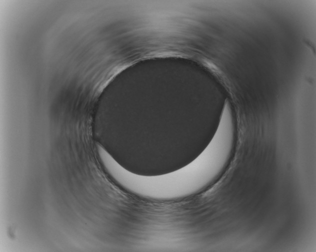 X0000103311361200809122042