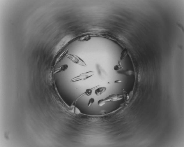 X0000103311362200809122042