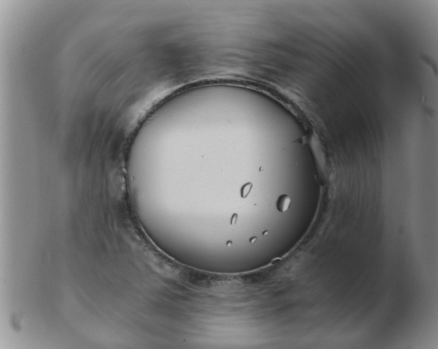 X0000103311363200809122042