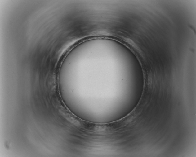 X0000103311364200809122042