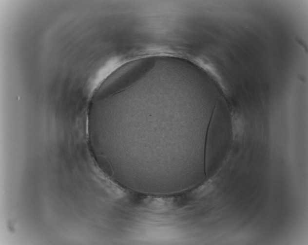 X0000103311365200809122042