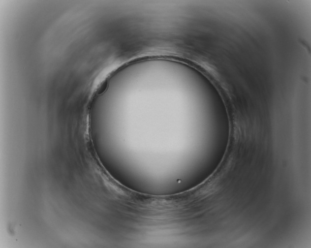 X0000103311366200809122042