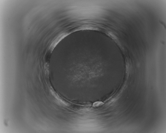X0000103311369200809122042