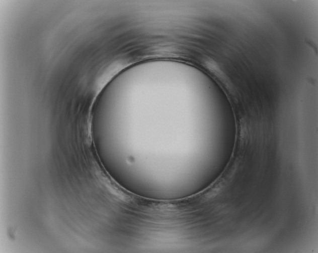 X0000103311370200809122042