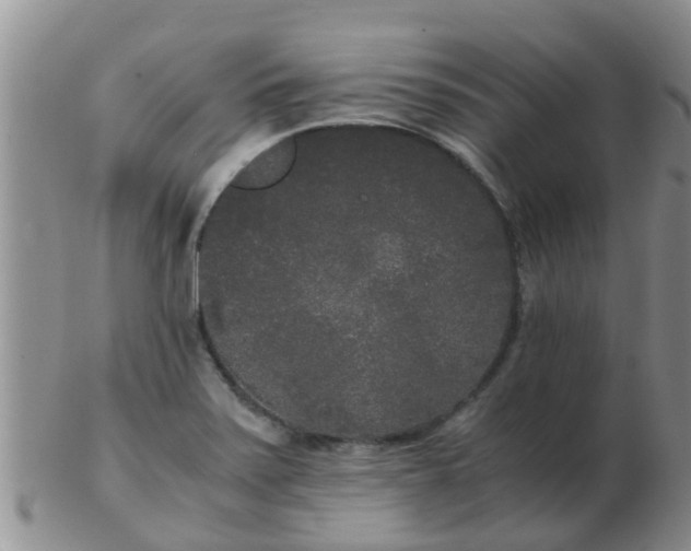 X0000103311371200809122042