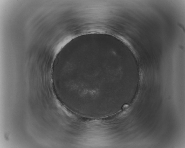 X0000103311373200809122042