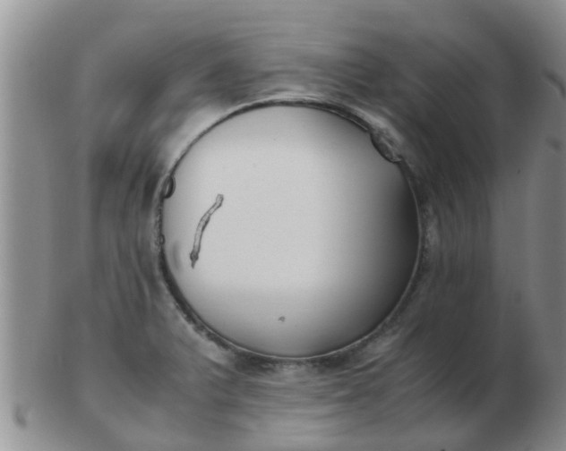 X0000103311375200809122042
