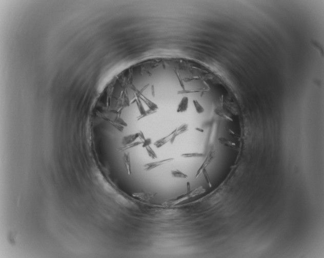 X0000103311382200809122042