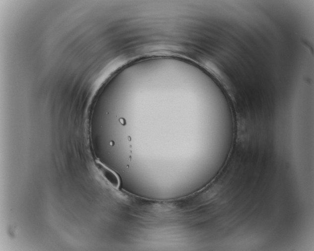 X0000103311384200809122042
