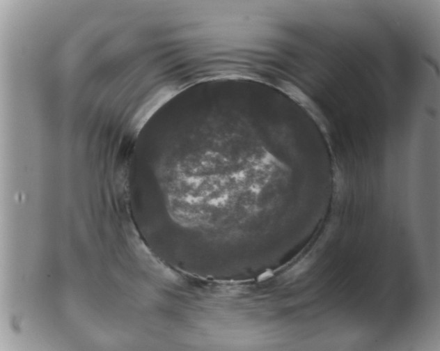 X0000103311385200809122042