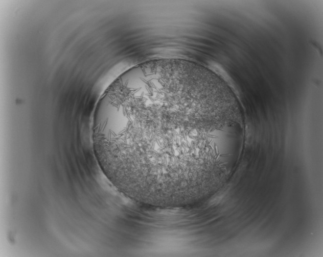 X0000103311386200809122042