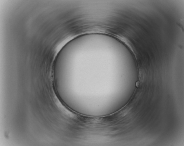 X0000103311387200809122042