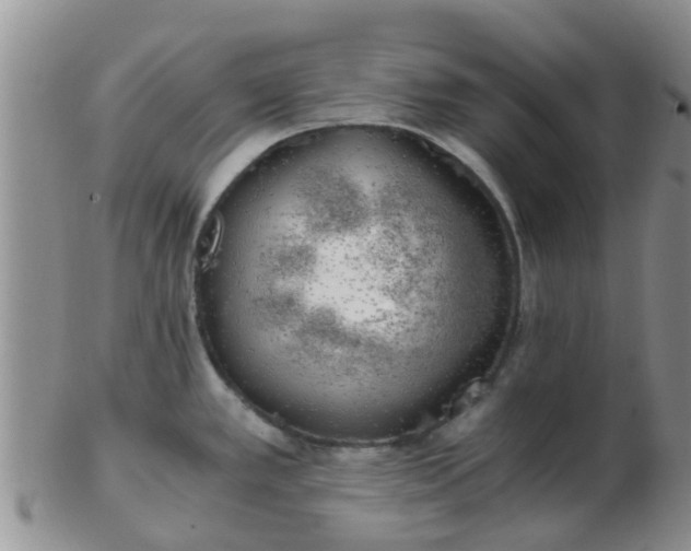 X0000103311389200809122042