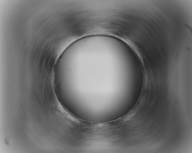 X0000103311390200809122042